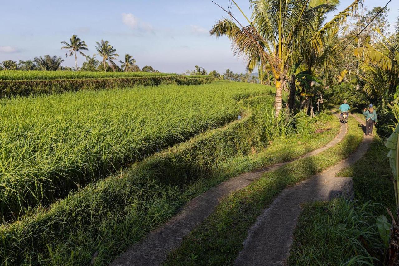 Sanda Plantation Hideaway ภายนอก รูปภาพ
