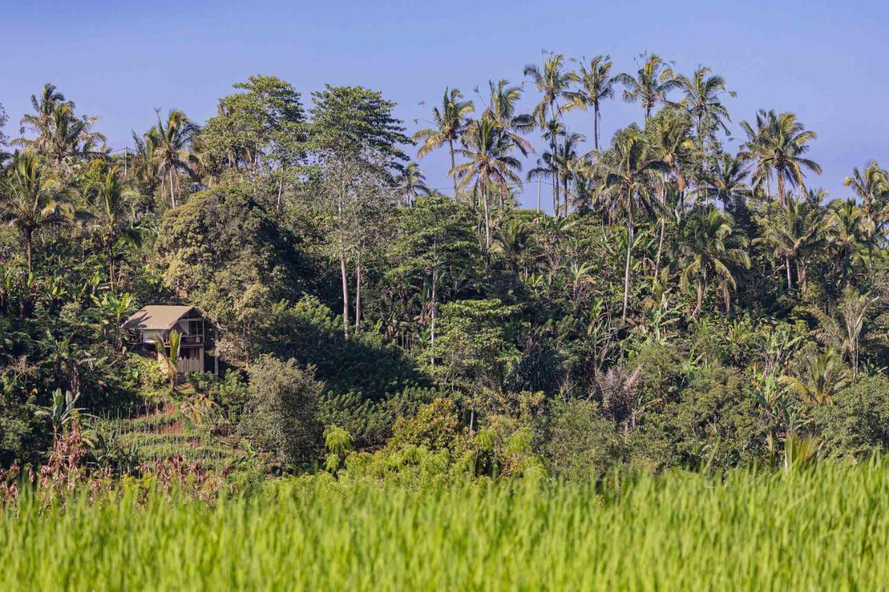 Sanda Plantation Hideaway ภายนอก รูปภาพ